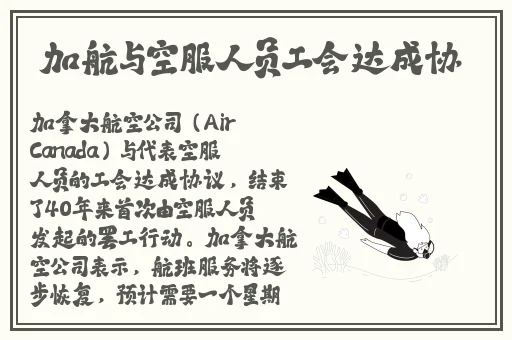 色老板视频线观看在线